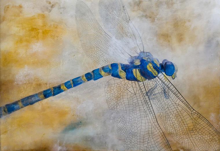 Dragonfly featured artwork