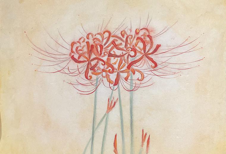 Lycoris featured artwork