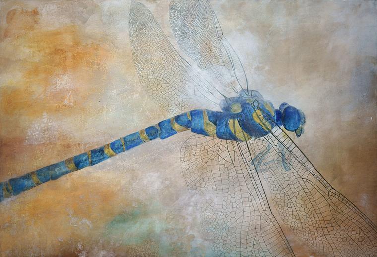 Dragonfly featured artwork